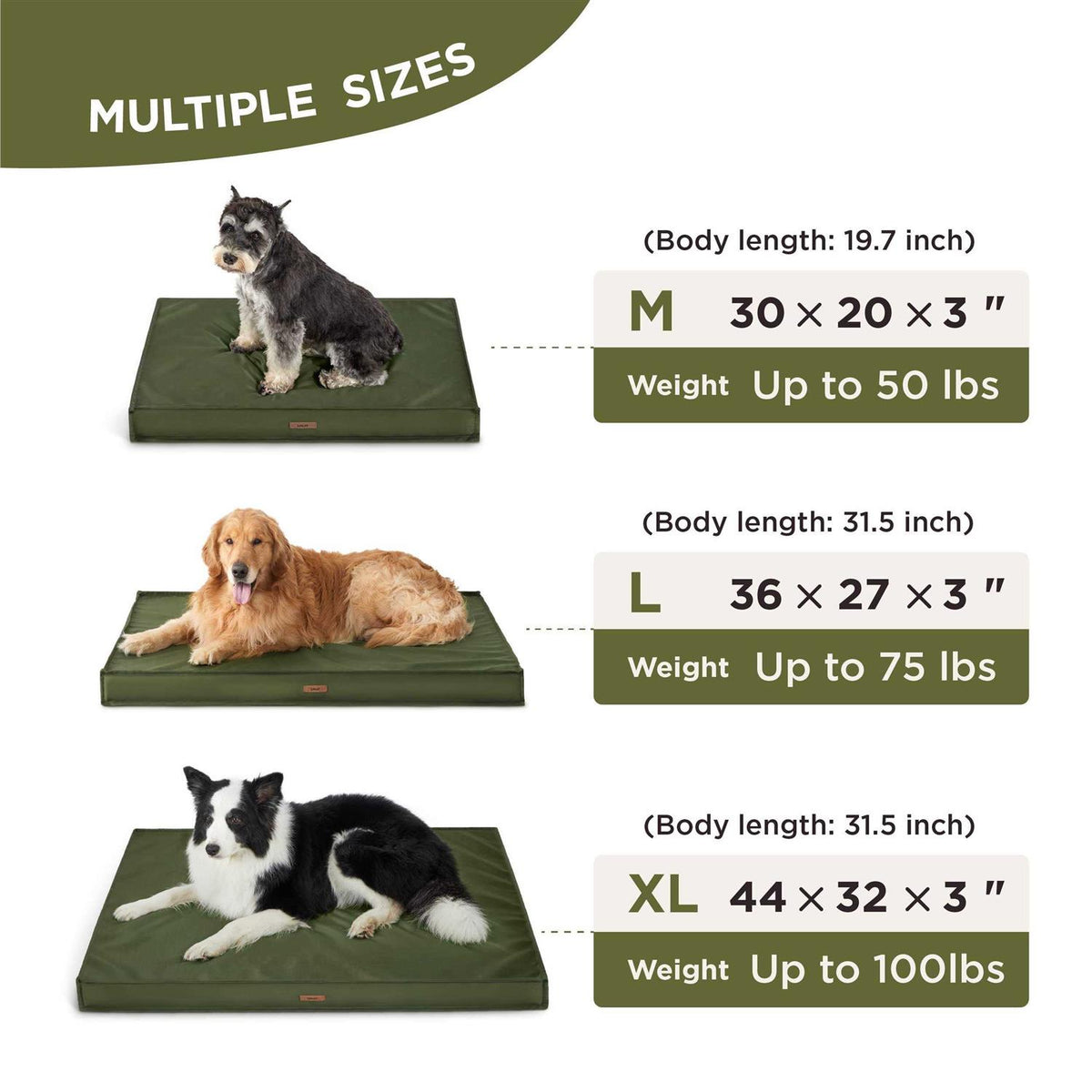 Waterproof Oxford Fabric Dog Bed Q826881
