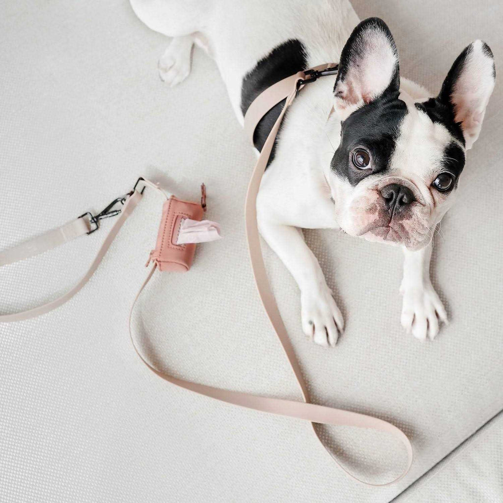 Hands Free Long Dog Leash A495