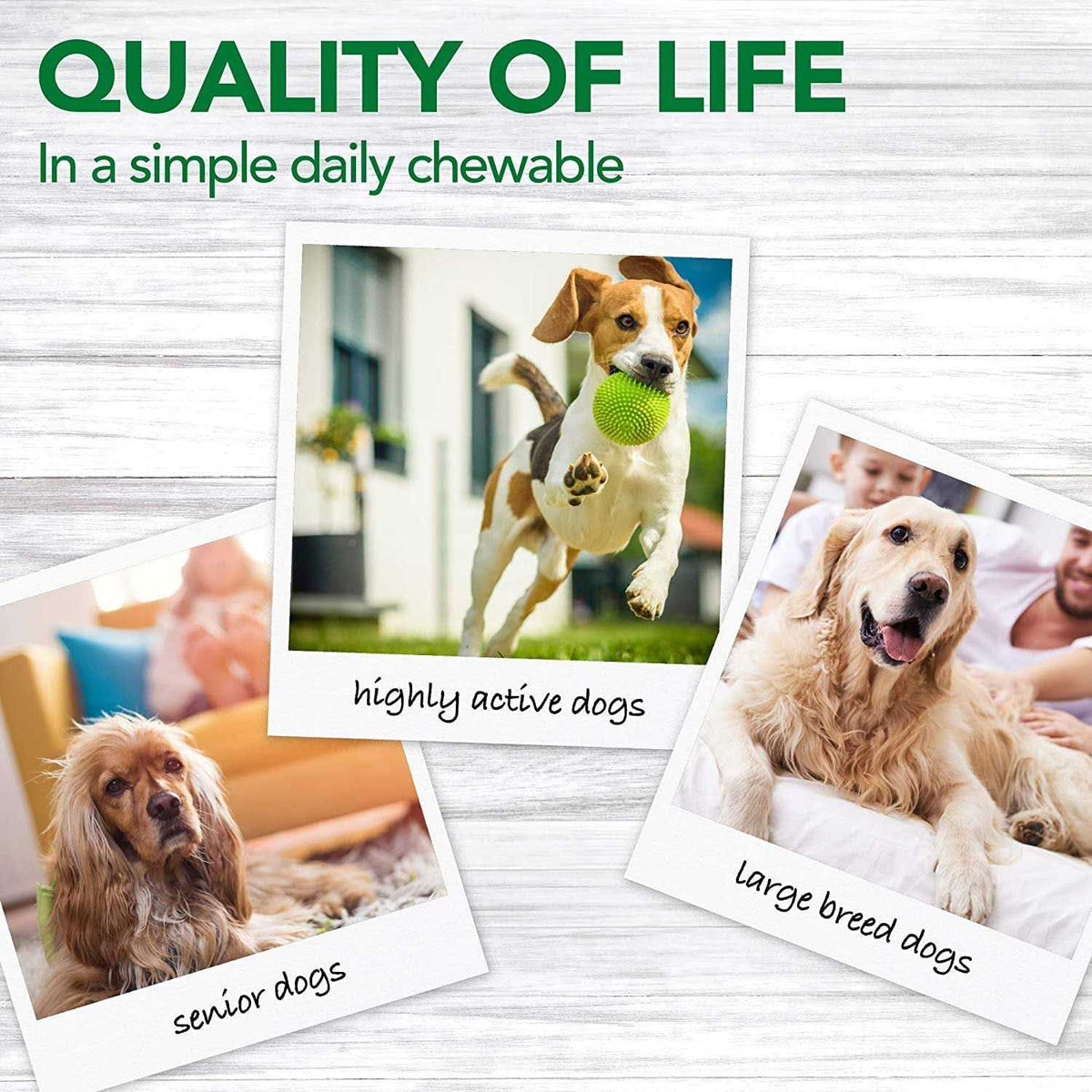 Dog Supplement H6236