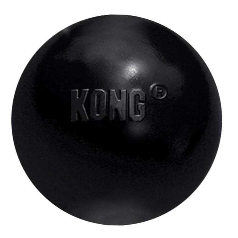 KONG Ball Dog Toy I556639