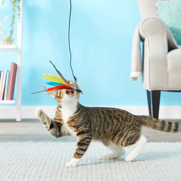 Retractable Interactive Cat Wand with Feathers P1305