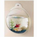 Wall Mounted Acrylic Fish Bowl S7243