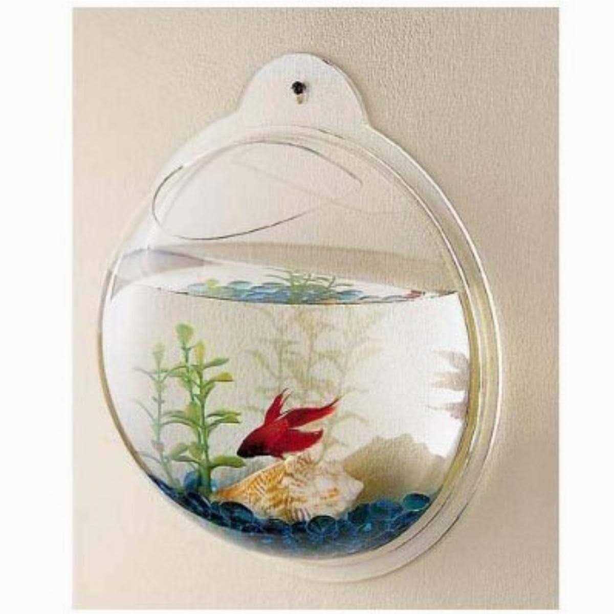 Wall Mounted Acrylic Fish Bowl S7243