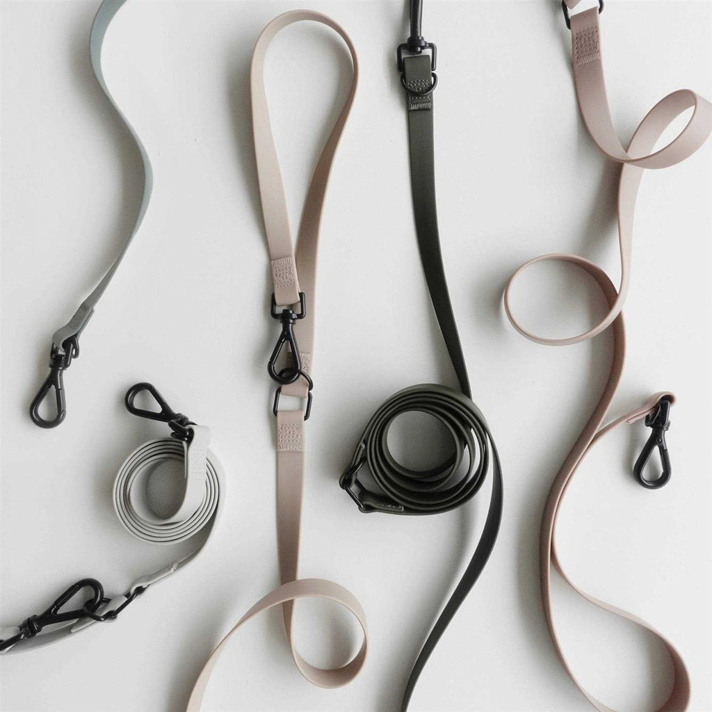 Hands Free Long Dog Leash A495