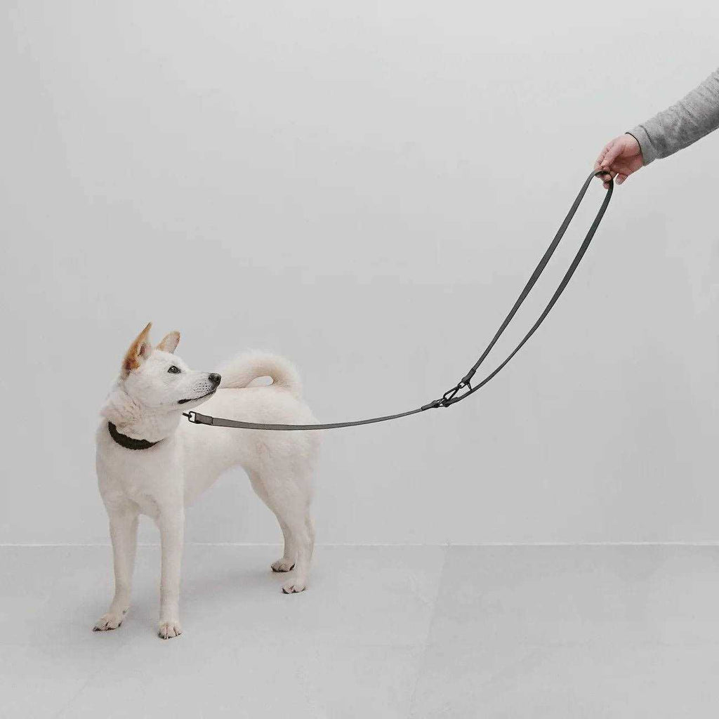 Hands Free Long Dog Leash A495