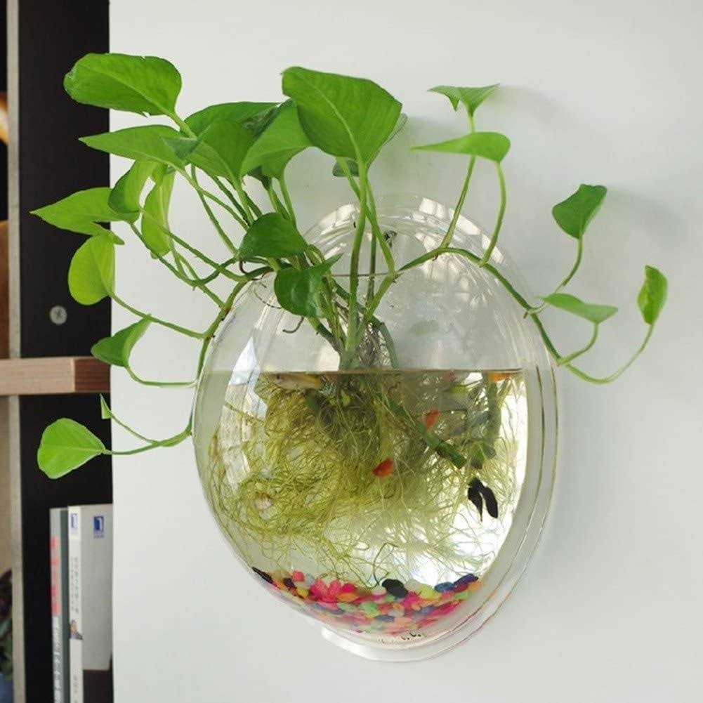 Wall Mounted Acrylic Fish Bowl S7243